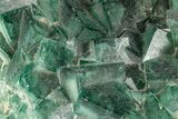 Green, Fluorescent, Cubic Fluorite Crystals - Madagascar #210461-2